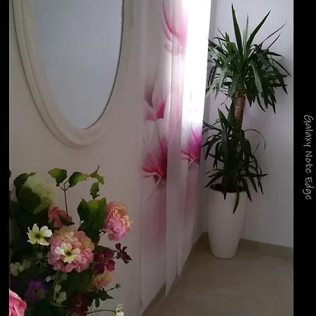 Apartment Mariza *